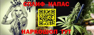 сатива Краснознаменск