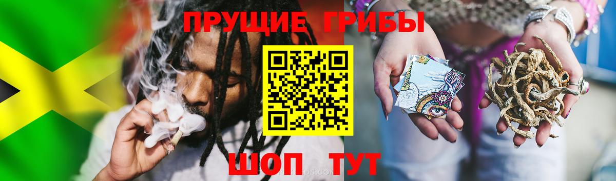 Псилоцибиновые грибы Psilocybe  Вход с VPN  Кандалакша  Псилоцибиновые грибы MAGIC MUSHROOMS 